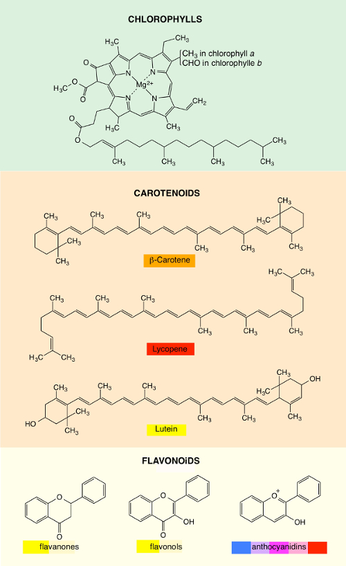 Examples of plant pigments belonging to the families of chlorophylls, carotenoids and flavonoids